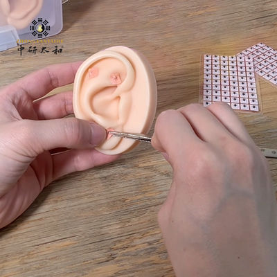 Skuteczna konsultacja zdrowotna z 100 naturalnymi nasionami Vaccaria do ucha i ostrzeżeniami