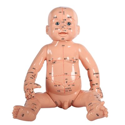 Przenośny model nadwozia lekkie i łatwe w transporcie Około 5 kg