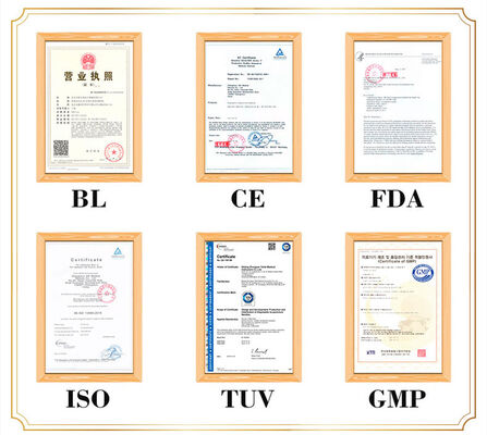 Szczegółowa i realistyczna reprezentacja ludzkiego ciała Akupunktura Model ciała Przenośny Lekkie i łatwe w transporcie Do nauczania medycyny
