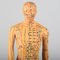 Chiński model ciała do akupunktury Acupoint 50 cm Model południka akupunktury