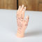 13 cm ręczny model punktu akupunktury chiński model nauczania akupunktury PVC;